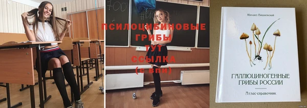 синтетический гашиш Надым