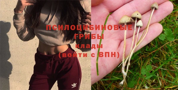 бутират Наволоки