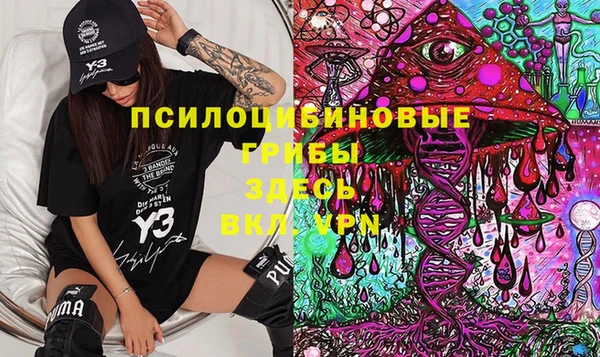 шишки Армянск