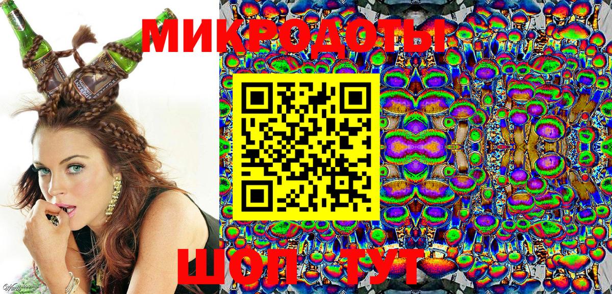 Псилоцибиновые грибы Psilocybe Зерноград